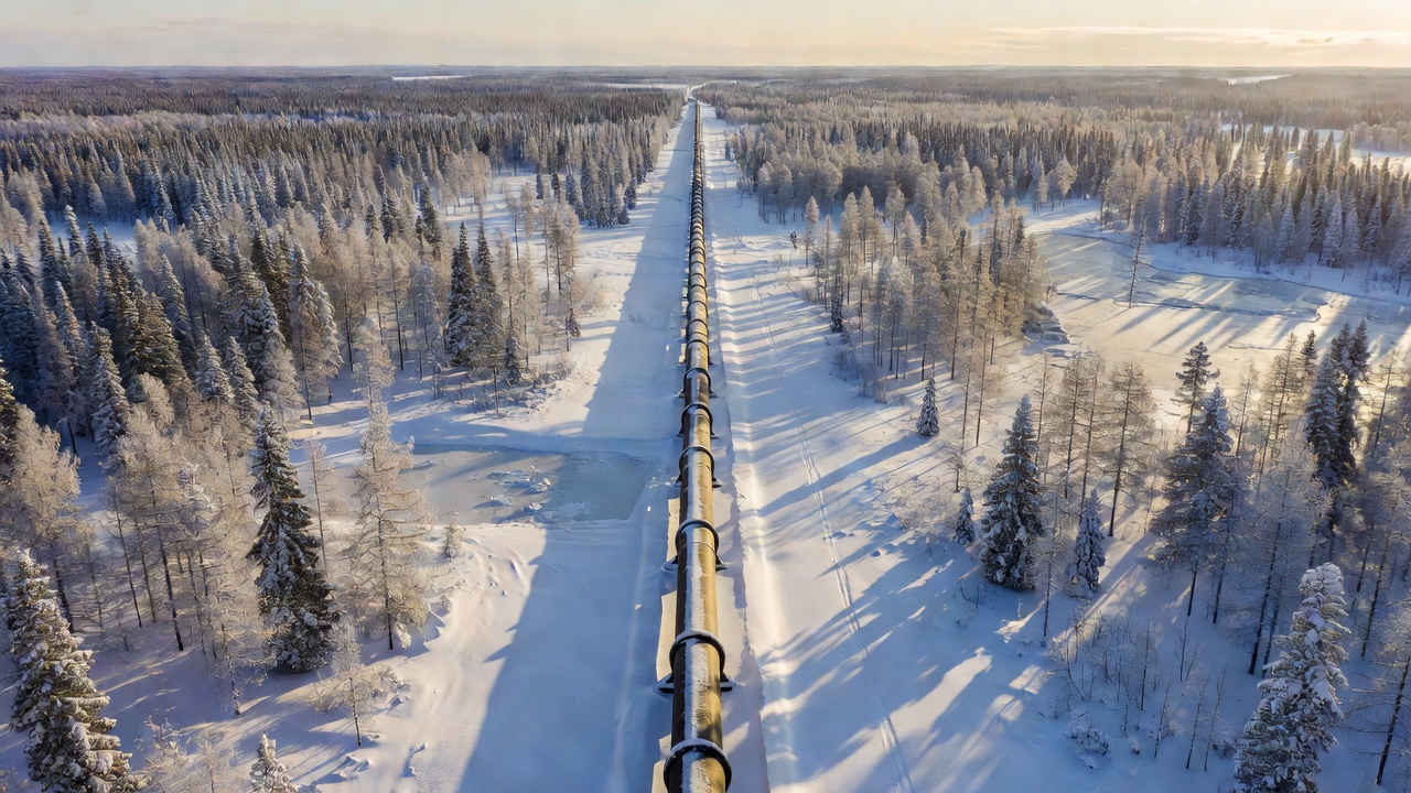 An oil pipeline crossing the Siberian taiga that carries Russian energy